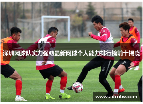 深圳网球队实力强劲最新网球个人能力排行榜前十揭晓